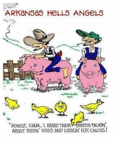 Clem and the hogs